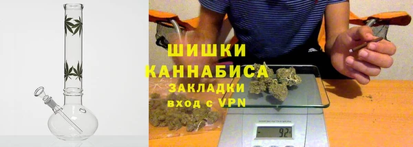 гидропоника Алзамай