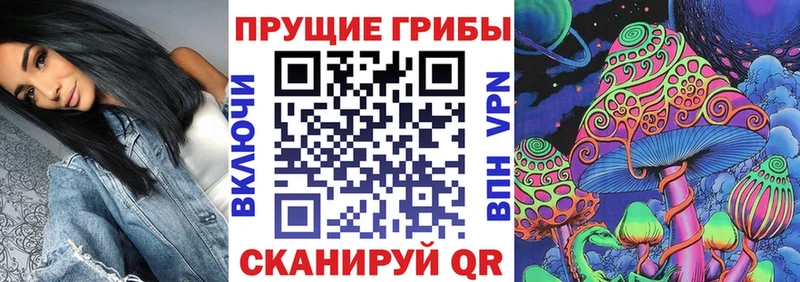 Галлюциногенные грибы Psilocybine cubensis  kraken сайт  Осташков 